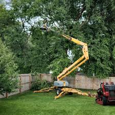 Best Tree Planting Services  in Highland Beach, FL